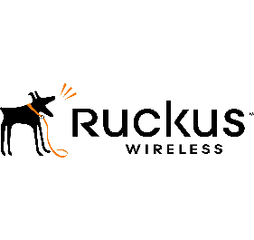 Ruckus 901-T300-US01 Data Networking